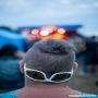 20170721_21-40-57_IMG_7025